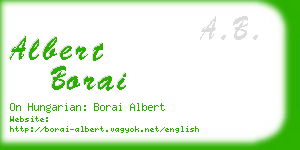albert borai business card